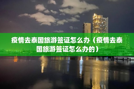 疫情去泰国旅游签证怎么办（疫情去泰国旅游签证怎么办的）  第1张