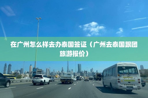 在广州怎么样去办泰国签证（广州去泰国跟团旅游报价）