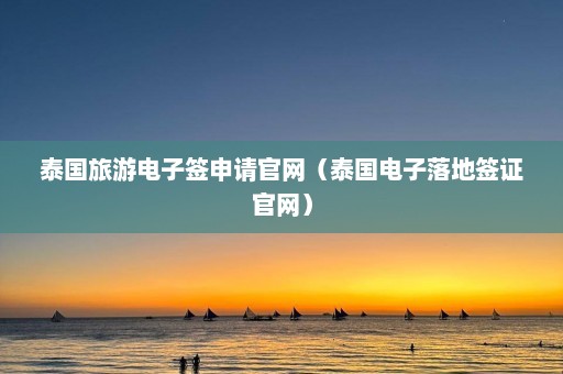 泰国旅游电子签申请官网（泰国电子落地签证官网）