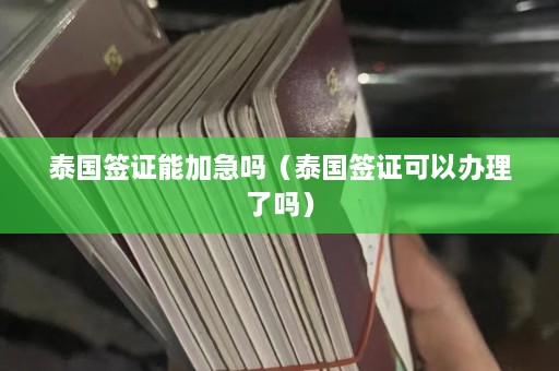 泰国签证能加急吗（泰国签证可以办理了吗）  第1张