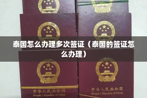 泰国怎么办理多次签证（泰国的签证怎么办理）  第1张