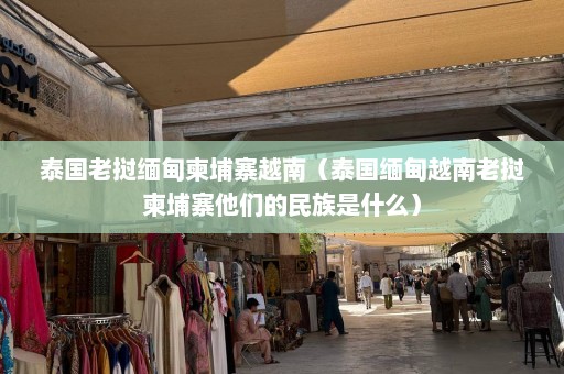 泰国老挝缅甸柬埔寨越南（泰国缅甸越南老挝柬埔寨他们的民族是什么）