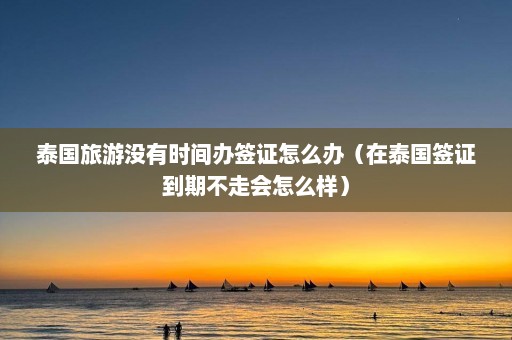 泰国旅游没有时间办签证怎么办（在泰国签证到期不走会怎么样）