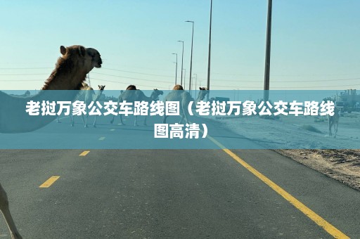 老挝万象公交车路线图（老挝万象公交车路线图高清）