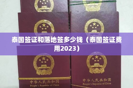 泰国签证和落地签多少钱（泰国签证费用2023）  第1张