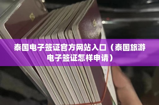 泰国电子签证 *** 网站入口（泰国旅游电子签证怎样申请）  第1张