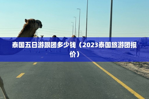 泰国五日游跟团多少钱（2023泰国旅游团报价）