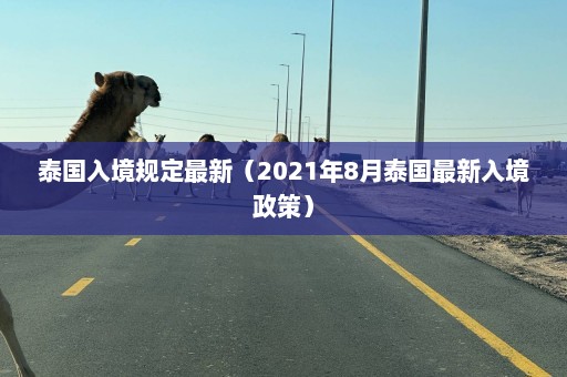 泰国入境规定最新（2021年8月泰国最新入境政策）