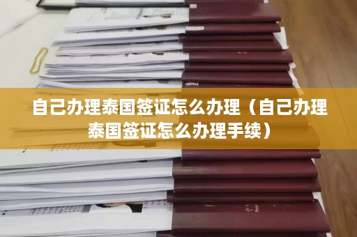 自己办理泰国签证怎么办理（自己办理泰国签证怎么办理手续）  第1张