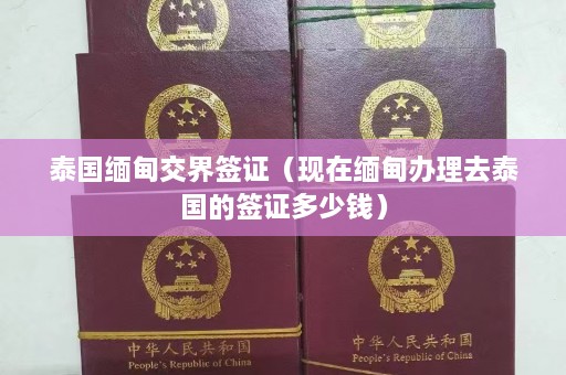 泰国缅甸交界签证（现在缅甸办理去泰国的签证多少钱）