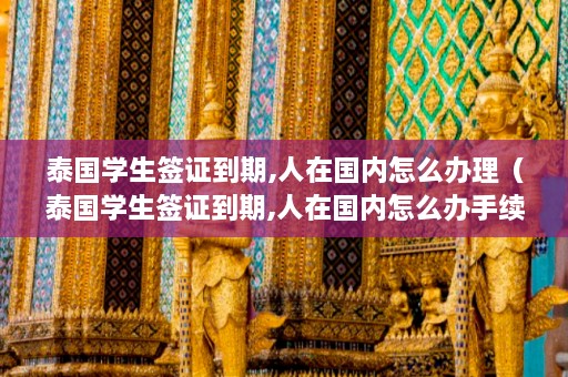 泰国学生签证到期,人在国内怎么办理（泰国学生签证到期,人在国内怎么办手续）