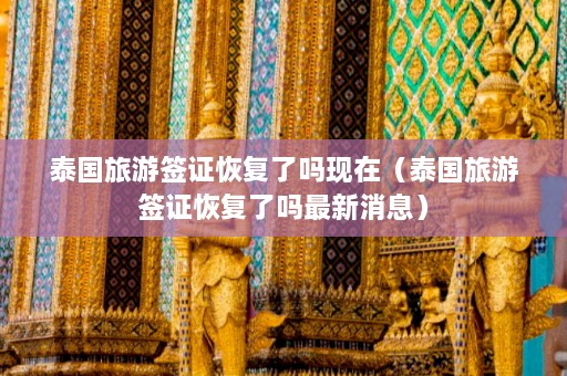 泰国旅游签证恢复了吗现在（泰国旅游签证恢复了吗最新消息）