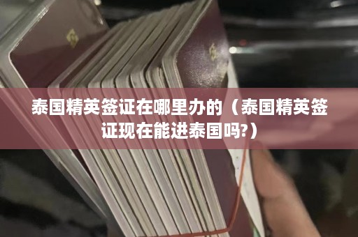 泰国精英签证在哪里办的（泰国精英签证现在能进泰国吗?）  第1张