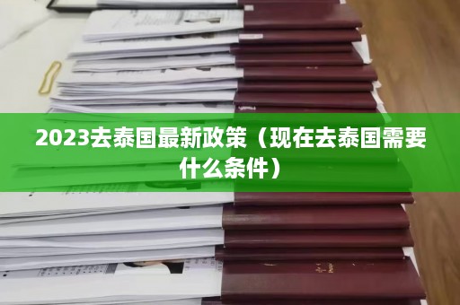 2023去泰国最新政策（现在去泰国需要什么条件）  第1张