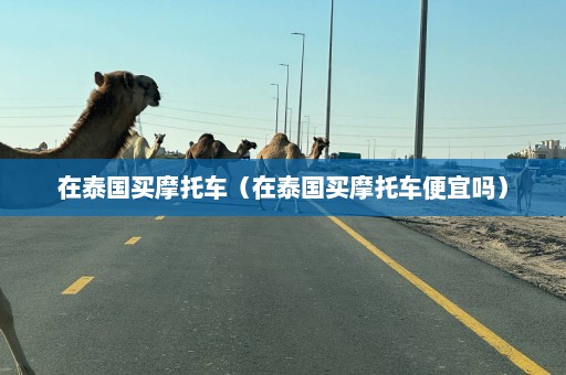 在泰国买摩托车（在泰国买摩托车便宜吗）