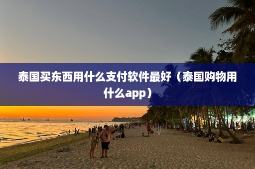 泰国买东西用什么支付软件最好（泰国购物用什么app）