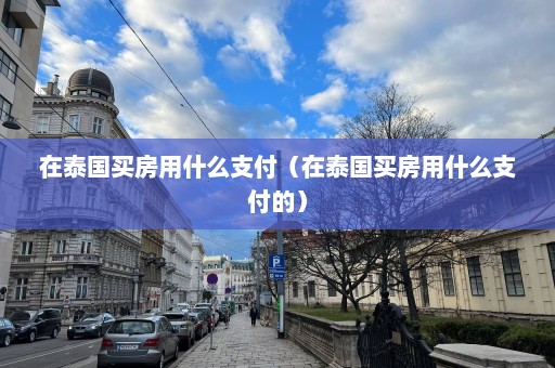 在泰国买房用什么支付（在泰国买房用什么支付的）