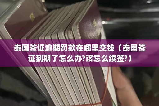 泰国签证逾期罚款在哪里交钱（泰国签证到期了怎么办?该怎么续签?）