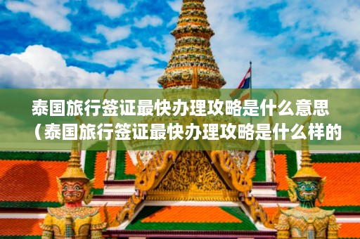 泰国旅行签证最快办理攻略是什么意思（泰国旅行签证最快办理攻略是什么样的）