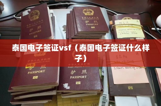 泰国电子签证vsf（泰国电子签证什么样子）  第1张