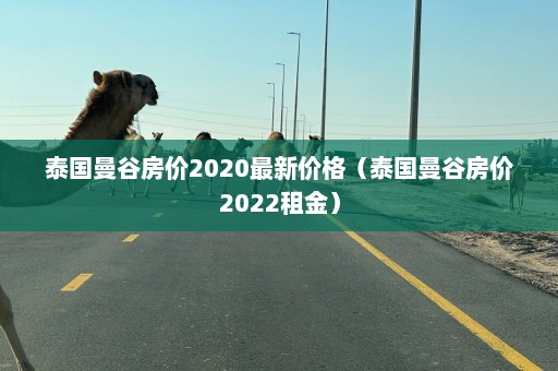 泰国曼谷房价2020最新价格（泰国曼谷房价2022租金）