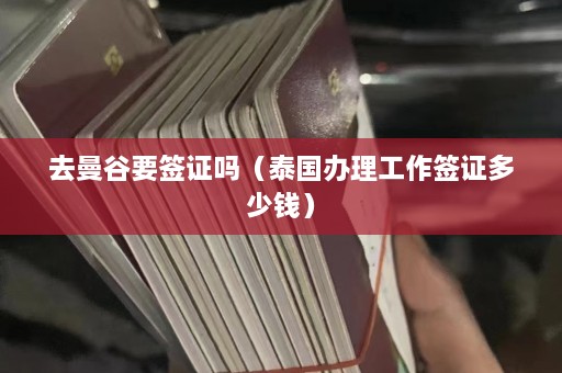 去曼谷要签证吗（泰国办理工作签证多少钱）