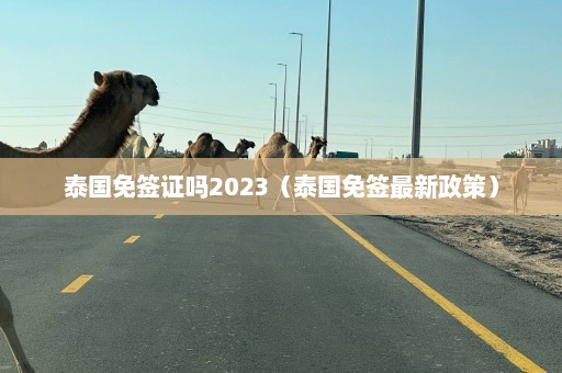 泰国免签证吗2023（泰国免签最新政策）