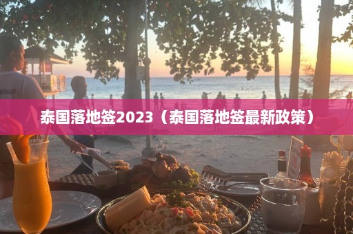 泰国落地签2023（泰国落地签最新政策）