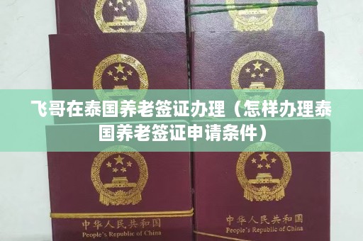 飞哥在泰国养老签证办理（怎样办理泰国养老签证申请条件）