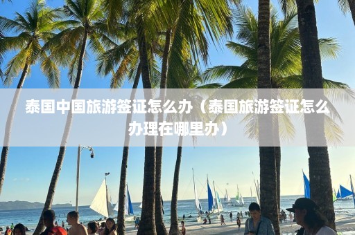 泰国中国旅游签证怎么办（泰国旅游签证怎么办理在哪里办）