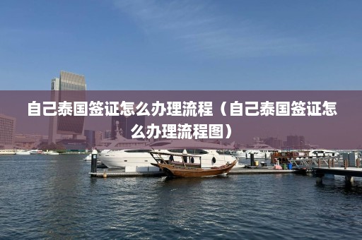 自己泰国签证怎么办理流程（自己泰国签证怎么办理流程图）