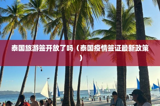 泰国旅游签开放了吗（泰国疫情签证最新政策）