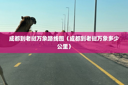 成都到老挝万象路线图（成都到老挝万象多少公里）