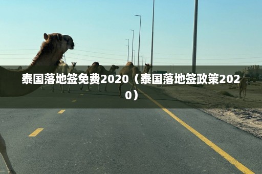 泰国落地签免费2020（泰国落地签政策2020）