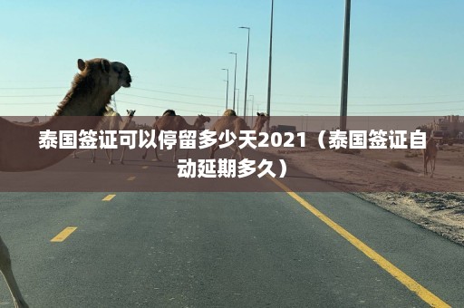 泰国签证可以停留多少天2021（泰国签证自动延期多久）