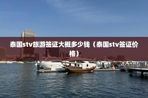 泰国stv旅游签证大概多少钱（泰国stv签证价格）