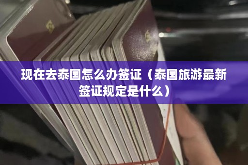 现在去泰国怎么办签证（泰国旅游最新签证规定是什么）  第1张