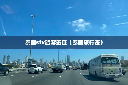 泰国stv旅游签证（泰国旅行签）