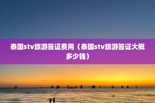 泰国stv旅游签证费用（泰国stv旅游签证大概多少钱）