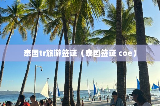 泰国tr旅游签证（泰国签证 coe）  第1张