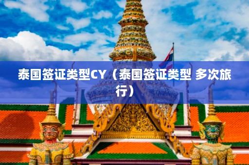 泰国签证类型CY（泰国签证类型 多次旅行）  第1张