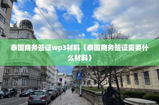 泰国商务签证wp3材料（泰国商务签证需要什么材料）