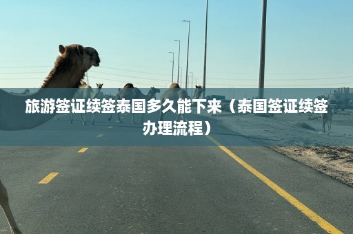 旅游签证续签泰国多久能下来（泰国签证续签办理流程）