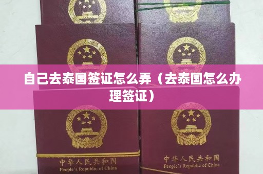 自己去泰国签证怎么弄（去泰国怎么办理签证）