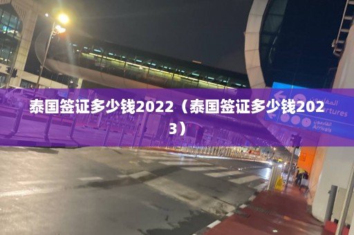 泰国签证多少钱2022（泰国签证多少钱2023）