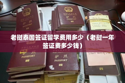 老挝泰国签证留学费用多少（老挝一年签证费多少钱）  第1张