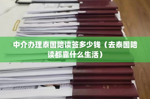 中介办理泰国陪读签多少钱（去泰国陪读都靠什么生活）  第1张