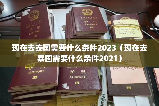 现在去泰国需要什么条件2023（现在去泰国需要什么条件2021）