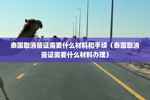 泰国取消签证需要什么材料和手续（泰国取消签证需要什么材料办理）