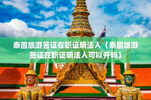 泰国旅游签证在职证明法人（泰国旅游签证在职证明法人可以开吗）  第1张